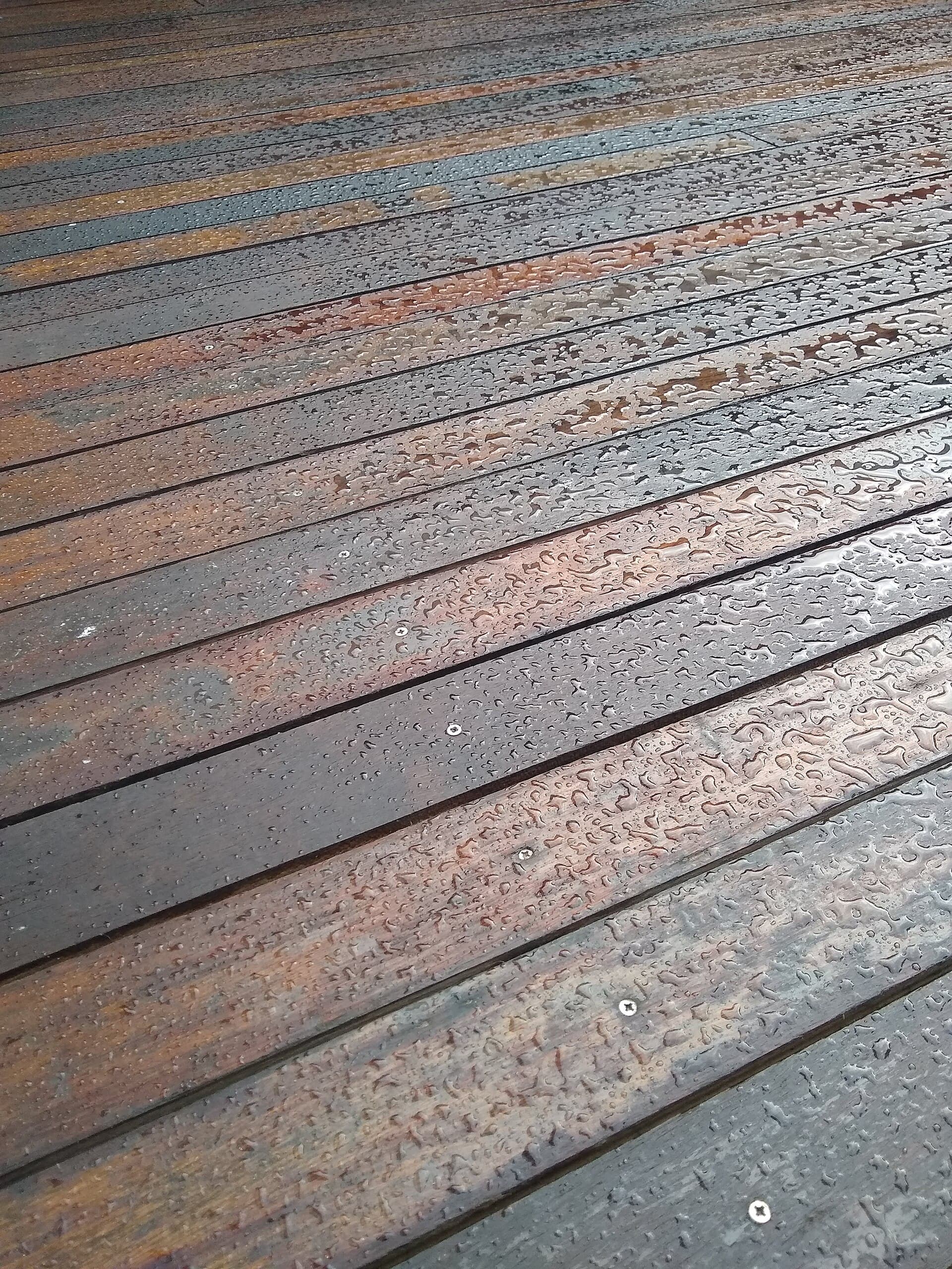 Hardwood decking boards after rain, wet grain showing, the weather any alternative material still has to survive.
